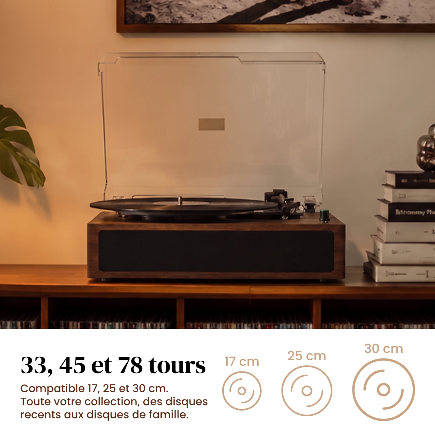 Lecteur Vinyle