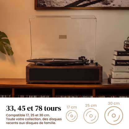 Lecteur Vinyle