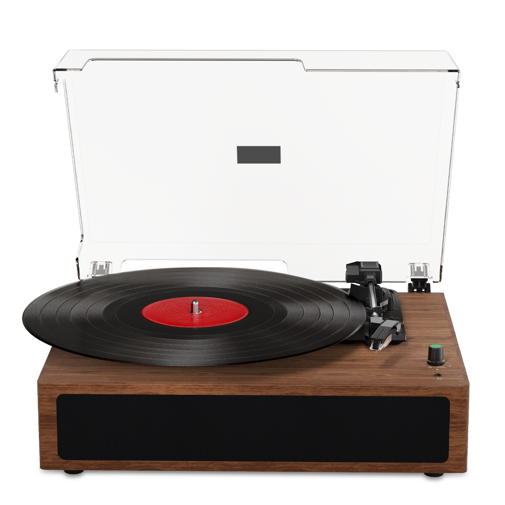 Lecteur Vinyle