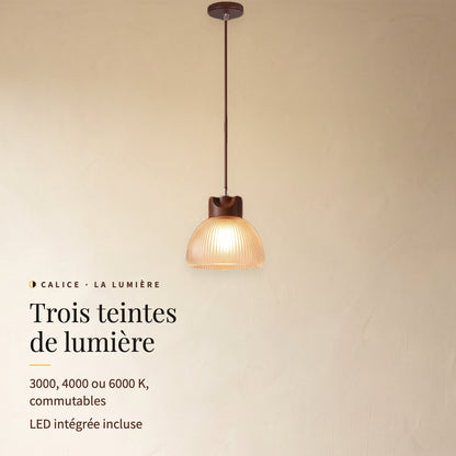 Calice, suspension allumée sur un mur clair : trois teintes de lumière, 3000, 4000 ou 6000 K, LED intégrée incluse