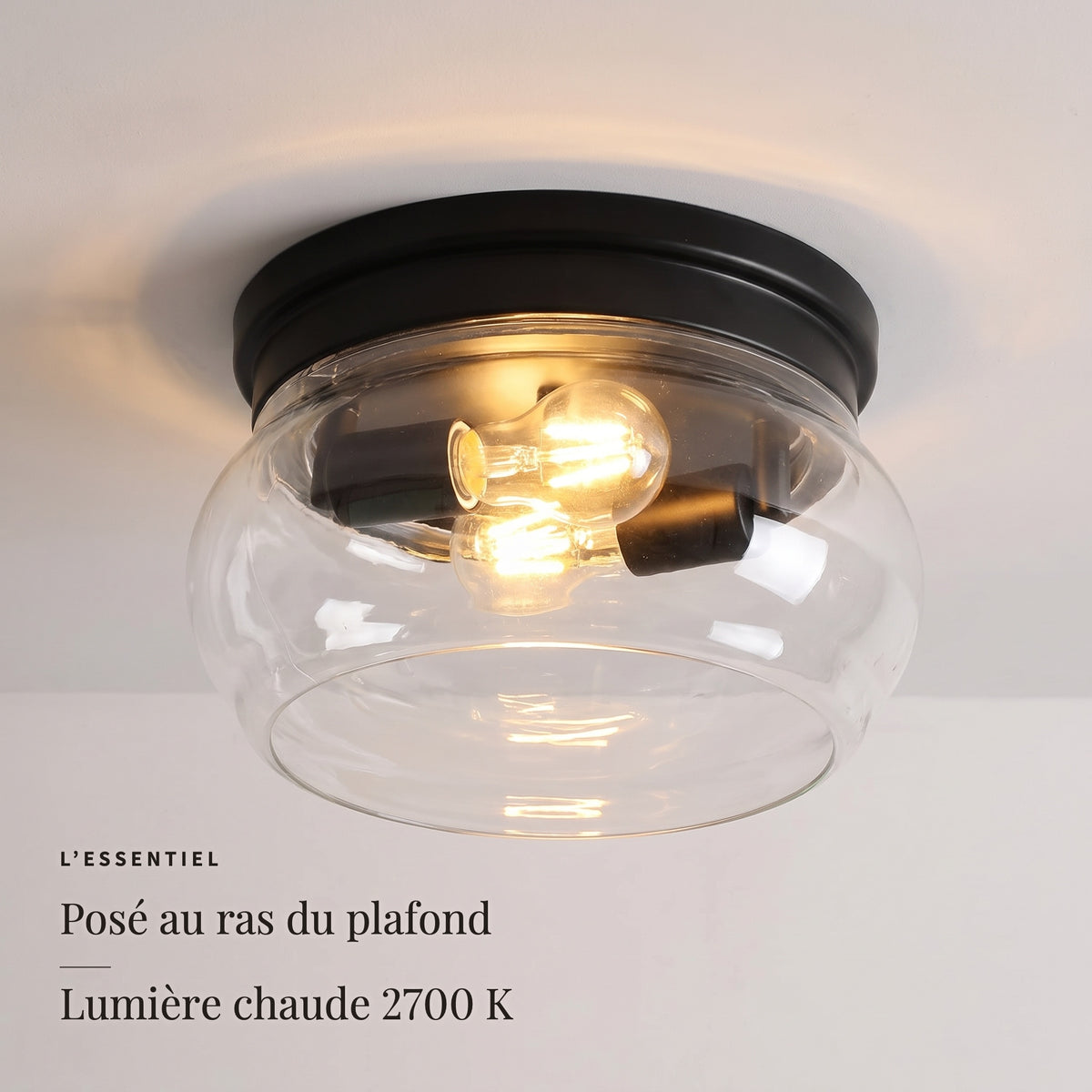 Cloche noire — l'essentiel