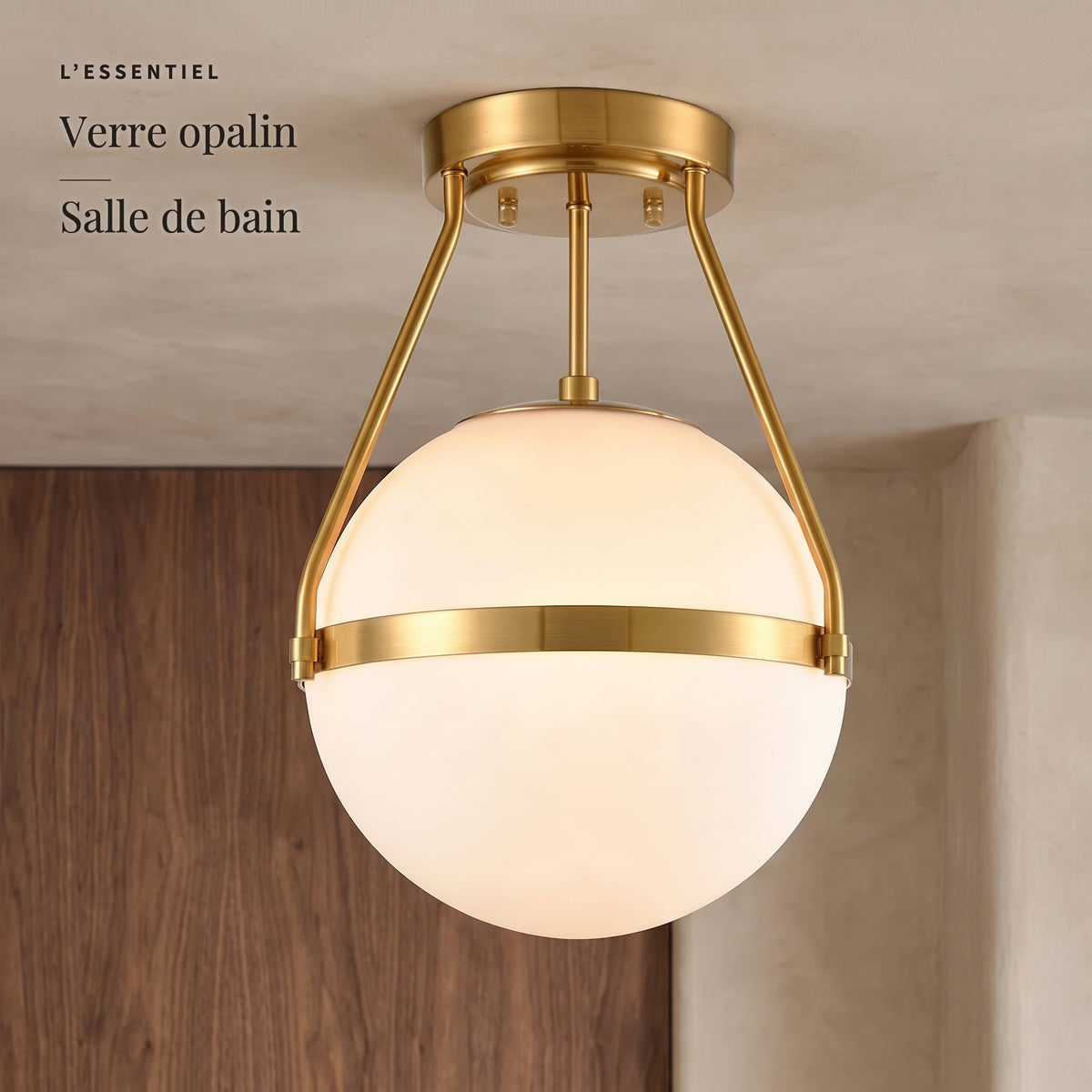 Falot — l'essentiel