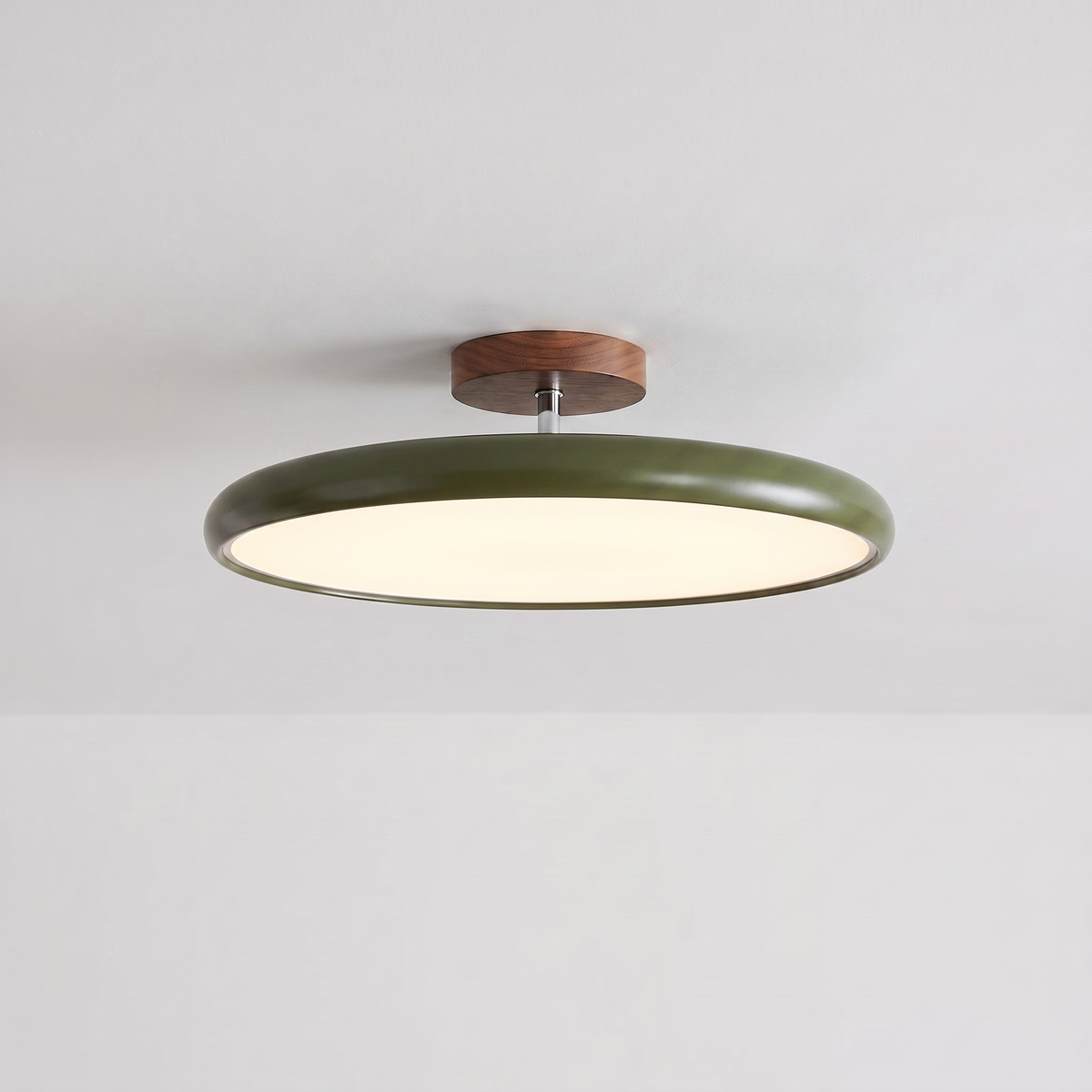 Ombelle vert olive, vue en situation