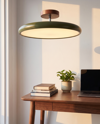 Ombelle dans un bureau