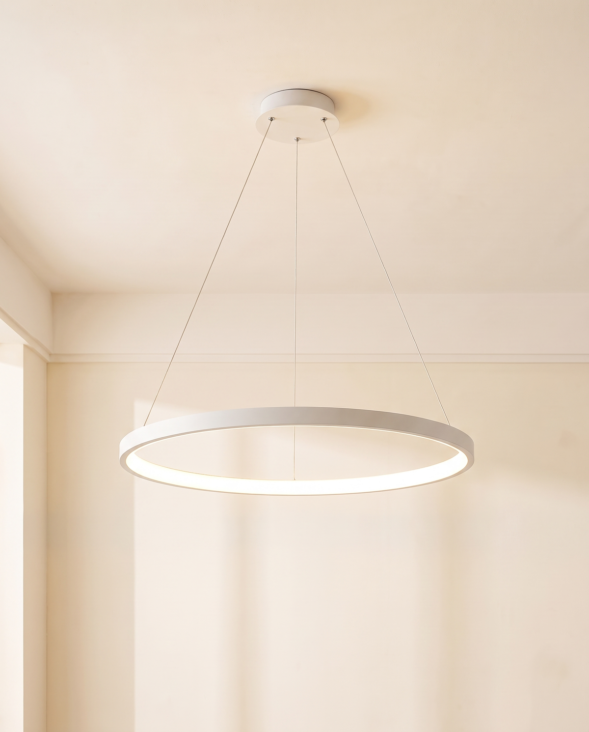 Cercle blanc suspendu, vue en situation