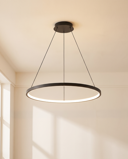 Cercle noir suspendu, vue en situation
