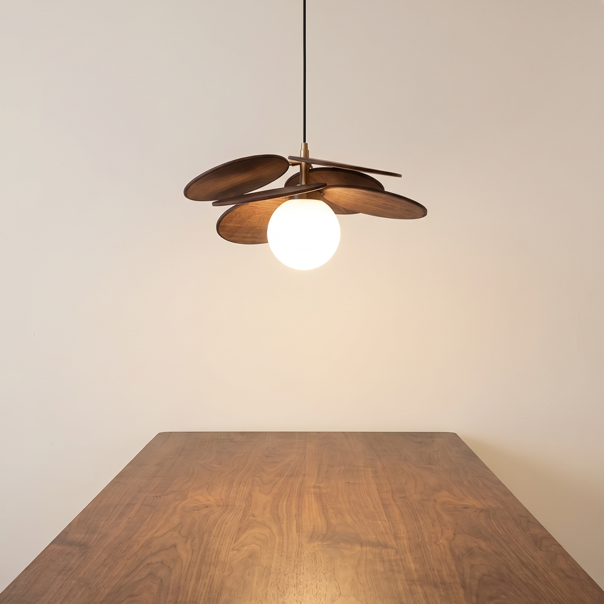 Corolle au-dessus d'une table