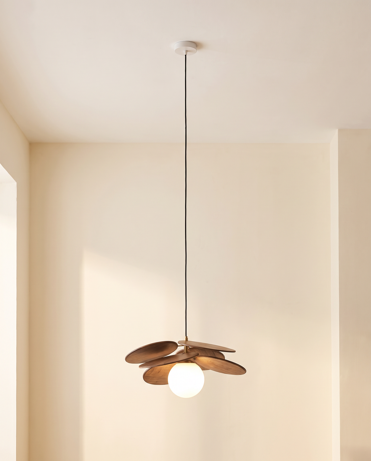 corolle-installation