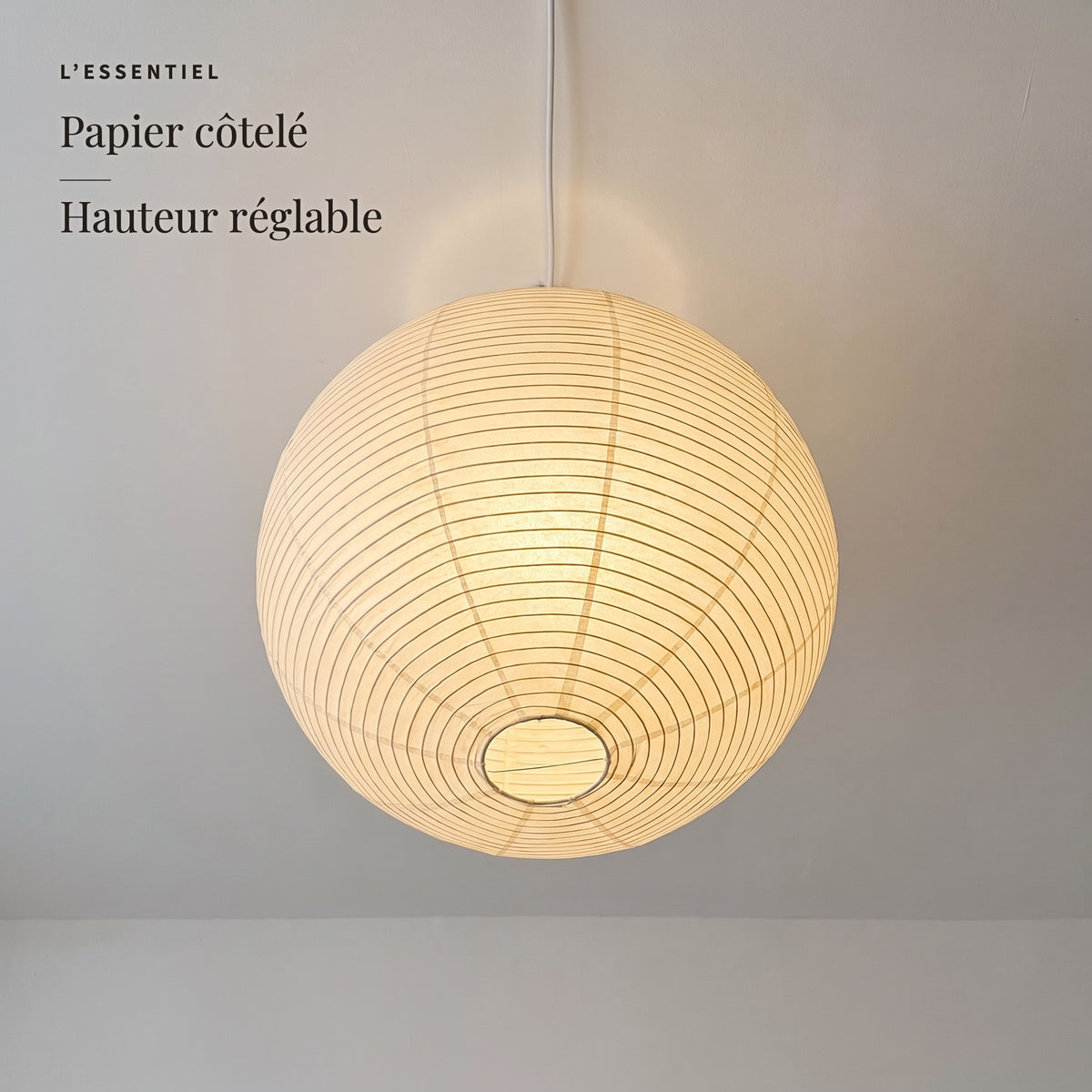 Mûrier — l'essentiel