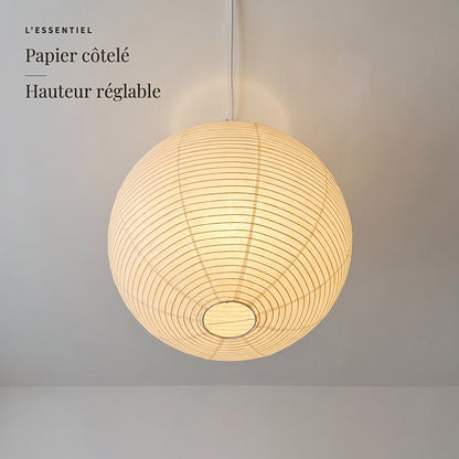 Mûrier — l'essentiel