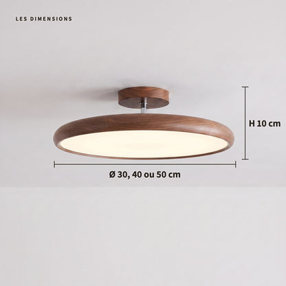 Ombelle — les dimensions