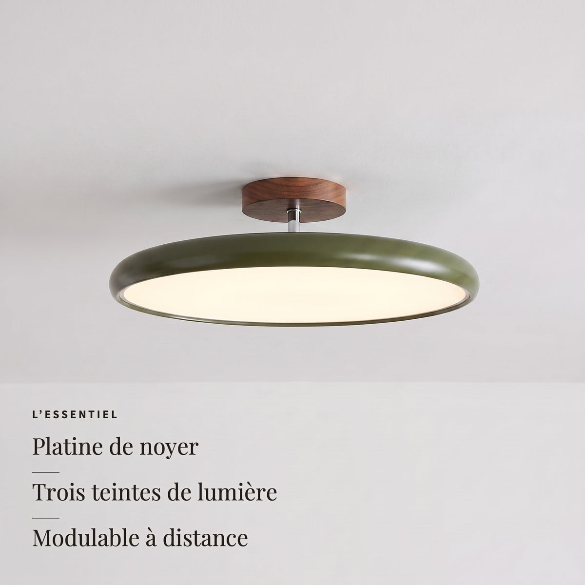 Ombelle — l'essentiel