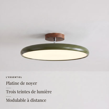 Ombelle — l'essentiel