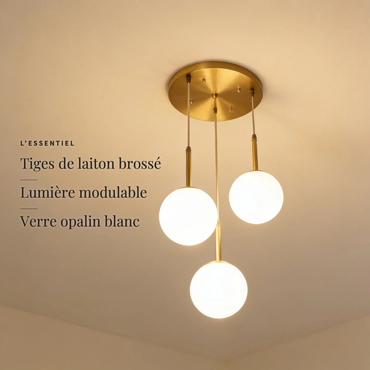 Pléiade — l'essentiel