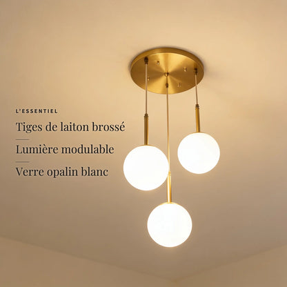 Pléiade — l'essentiel